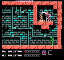Teenage Mutant Ninja Turtles (USA)